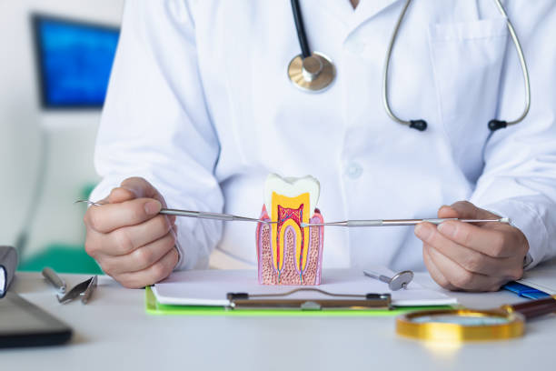Best Same-Day Emergency Dental Services in Bonnetsville, NC